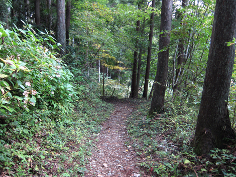 20191031hike (355)